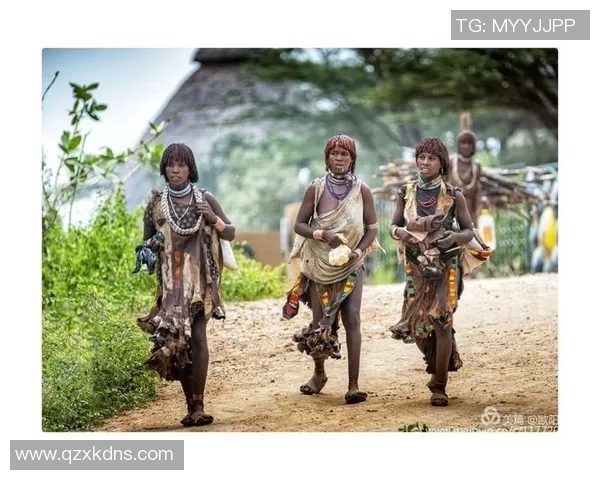 越南北部与南部的文化差异与风土人情探讨