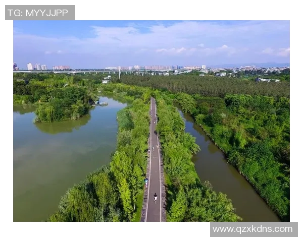 成都乒乓球队转型之路揭秘：从传统强队到现代竞技新标杆